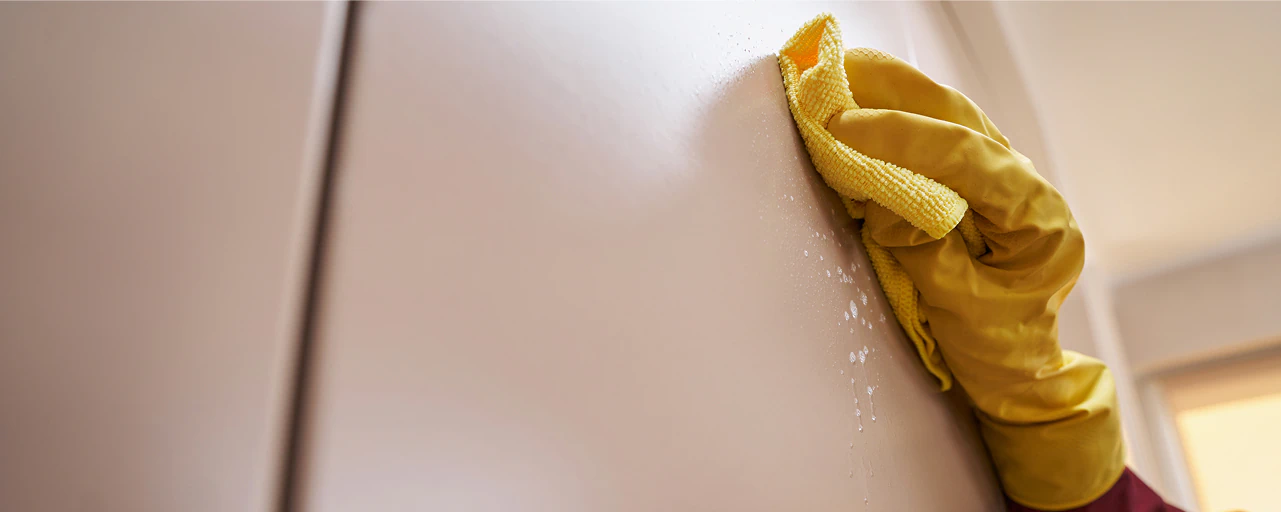 Pulizie post pitturazione condomini il nostro metodo