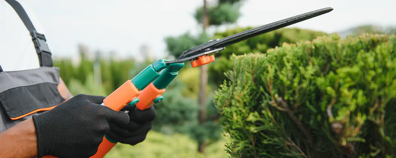 Il nostro metodo per cura del verde