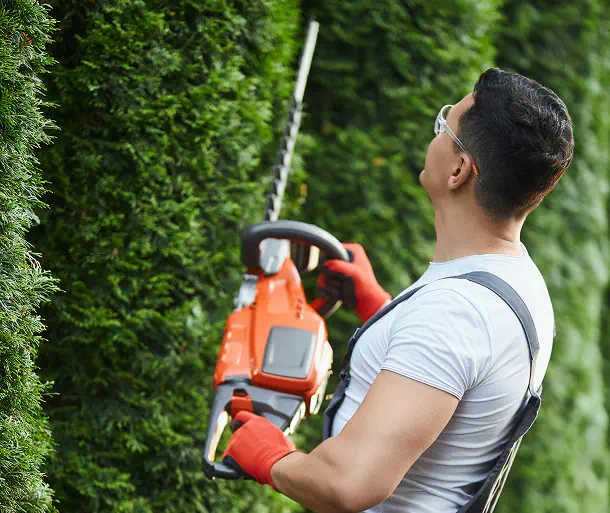 Perche affidarsi a noi per spazio verde