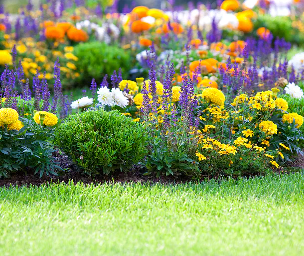 Perche scegliere manutenzione giardino