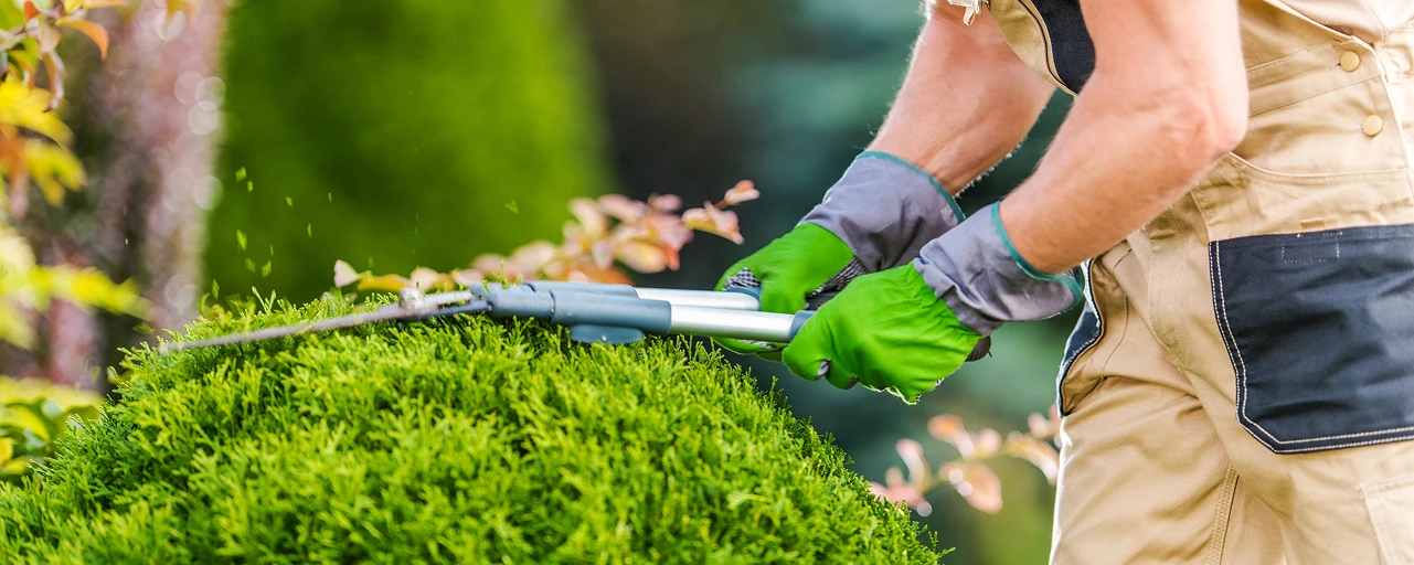 Nostro metodo per verde in primavera