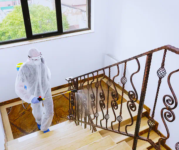 Perche affidarci sanificazioni professionali