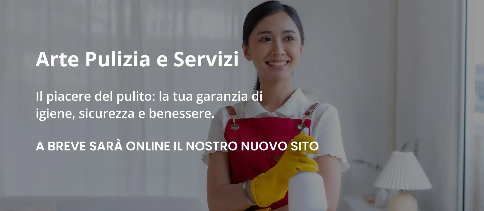 Arte Pulizia e Servizi
